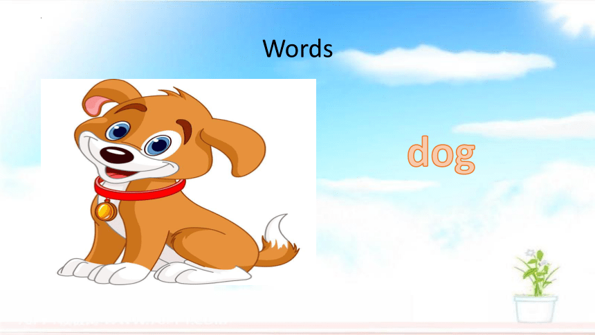 Unit1 Lesson2 Cats and dogs 课件 (共21张PPT)