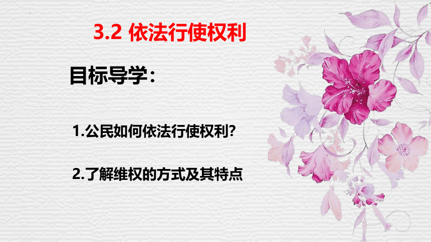 3.2 依法行使权利 课件（16张幻灯片）