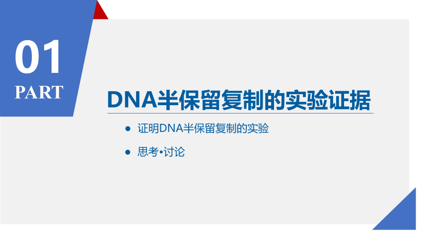 3.3 DNA的复制课件(共34张PPT)-人教版必修2