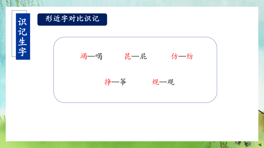 第22课《小毛虫》（教学课件）