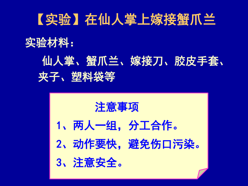 北京版八年级上册 第十章 第四节 生物生殖的多种方式 课件（20张PPT）