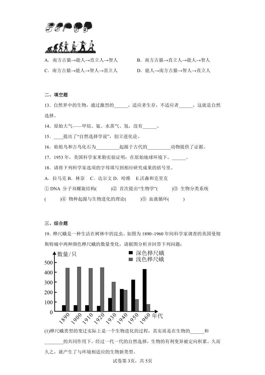 第三章生物的起源和进化 同步练习 冀教少版八年级下册（含答案）