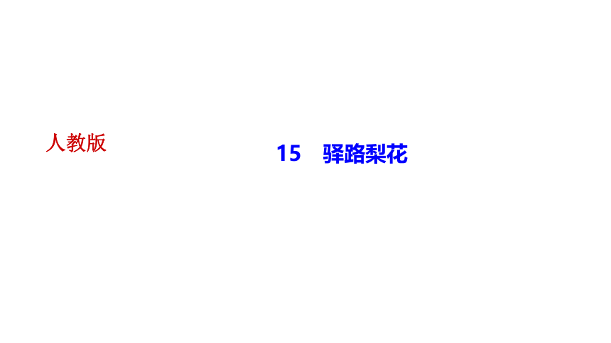 15 驿路梨花 讲练课件——2020-2021学年湖北省黄冈市七年级下册语文部编版(共33张PPT)