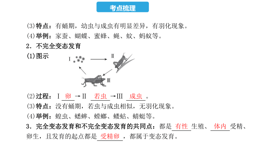 第七单元  第一章  生物的生殖和发育-2023年中考生物复习课件（人教版）(共22张PPT)