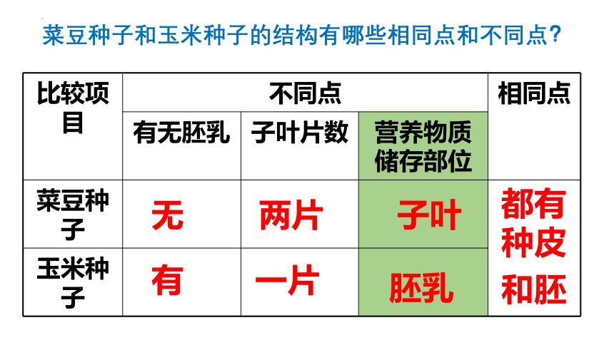 3.1.2 种子植物课件(共39张PPT)2022--2023学年人教版生物七年级上册