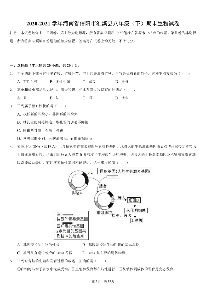 2020-2021学年河南省信阳市淮滨县八年级（下）期末生物试卷（word版，含解析）