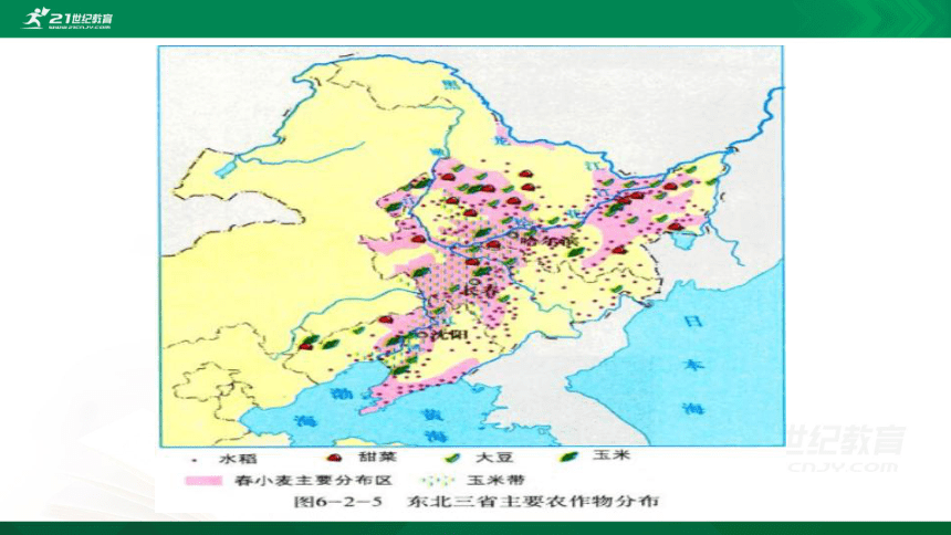 6.2第二节  东北三省第2课时（共3课时）课件（共15页ppt）