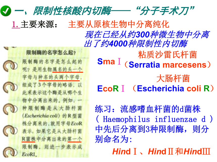 2020-2021学年高二生物人教版选修三1.1DNA重组技术的基本工具课件（30张ppt）