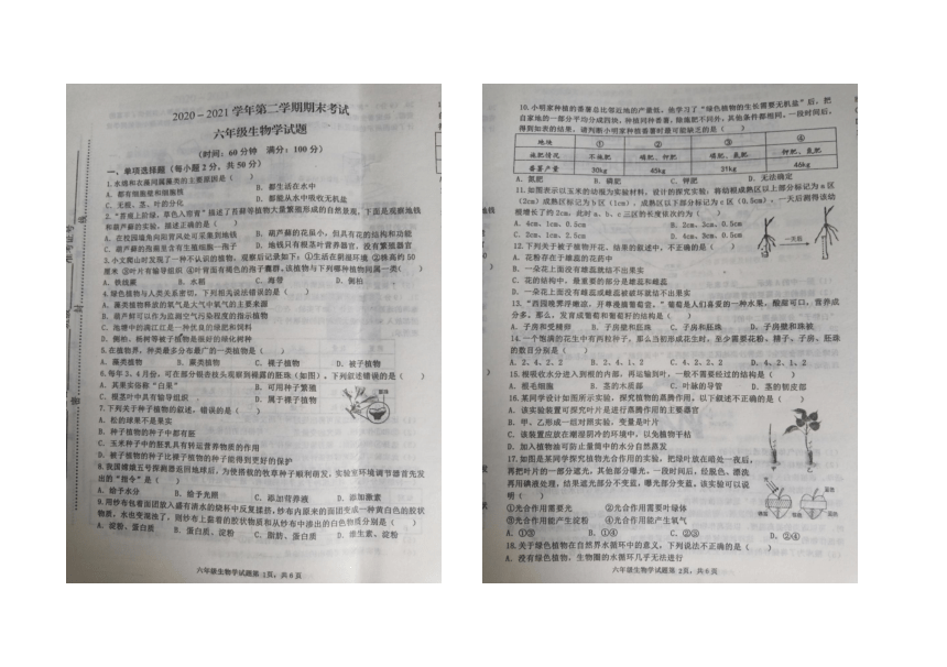 山东省淄博市沂源县2020-2021学年六年级下学期期末生物试题（图片版，含答案）