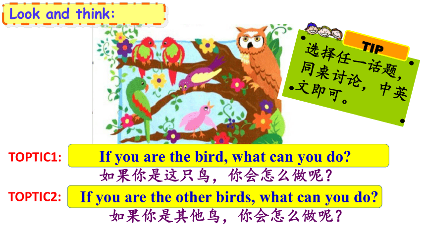 新派英语课标版二年级上册Why the owl says, “Who”绘本故事课件(共18张PPT)