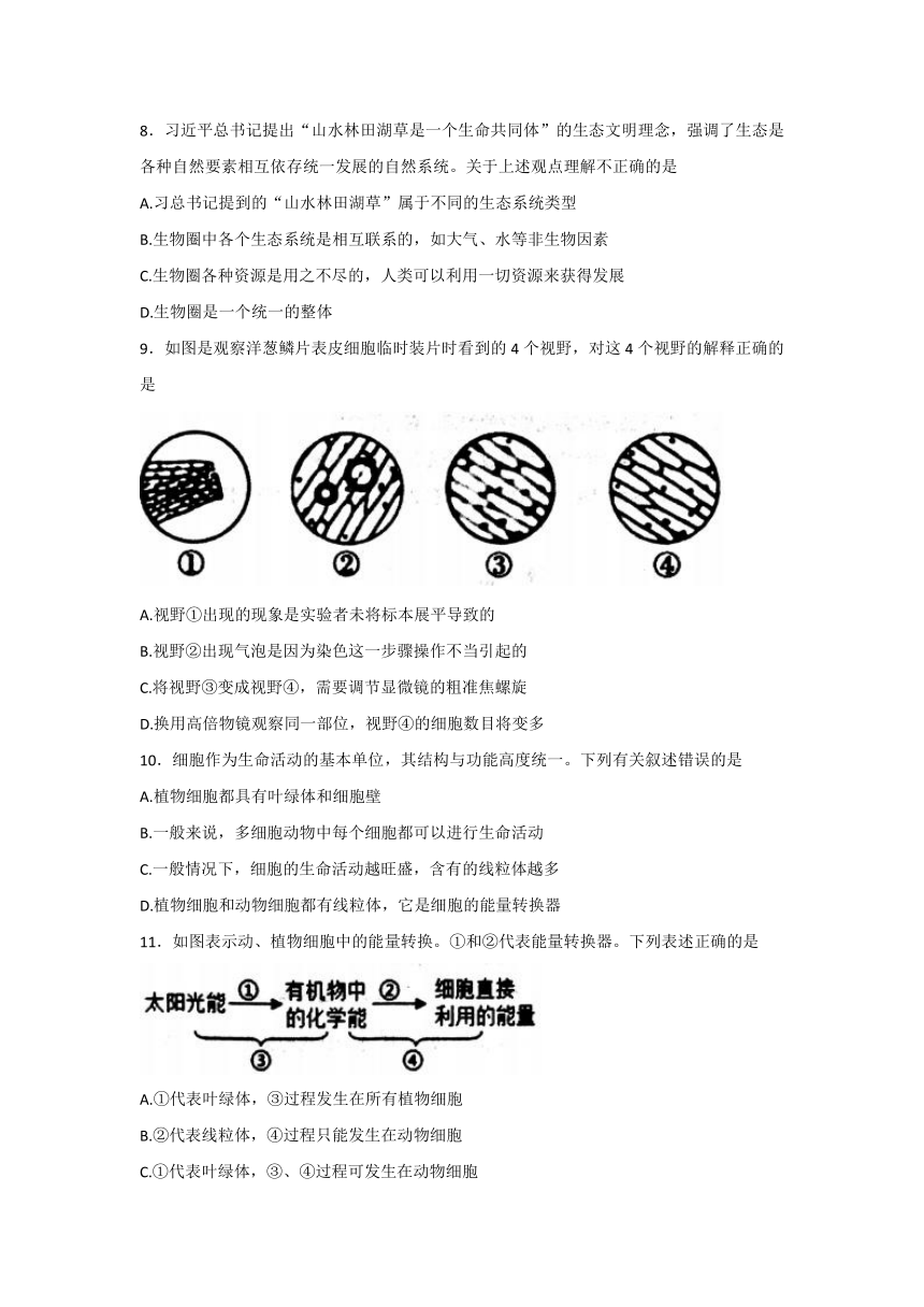 山东省泰安市岱岳区2021-2022学年六年级上学期期末考试生物试题（word版含答案）