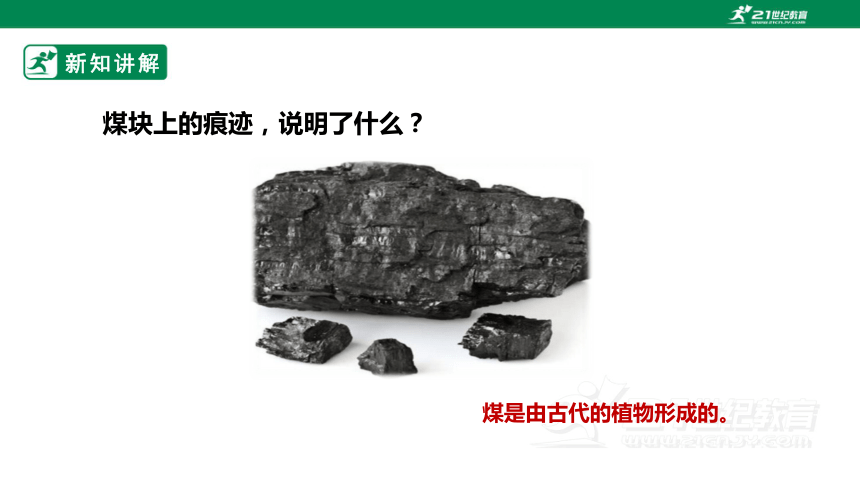 【新课标】4.13《煤、石油和天然气》课件（31张PPT）