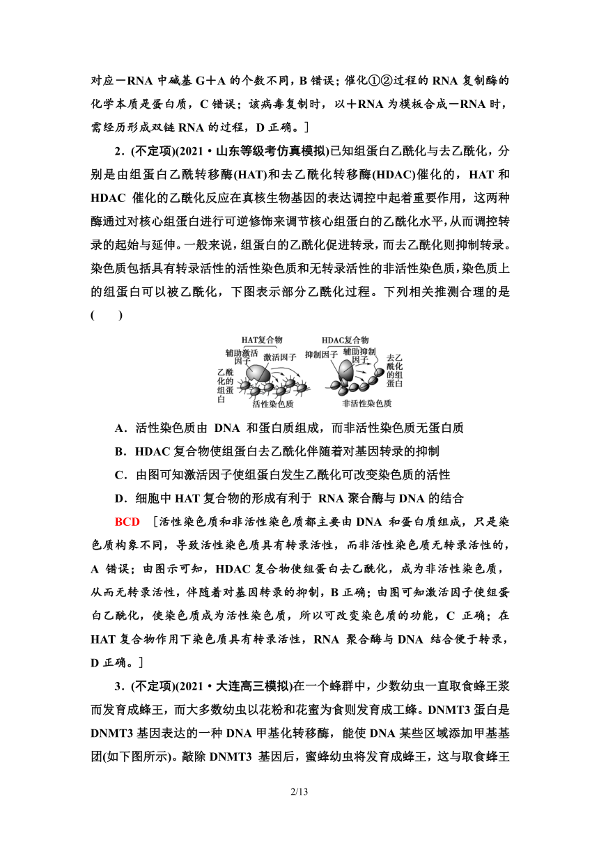 【二轮学案】高考生物大概念升华课3　遗传信息控制生物性状，并代代相传（含答案）