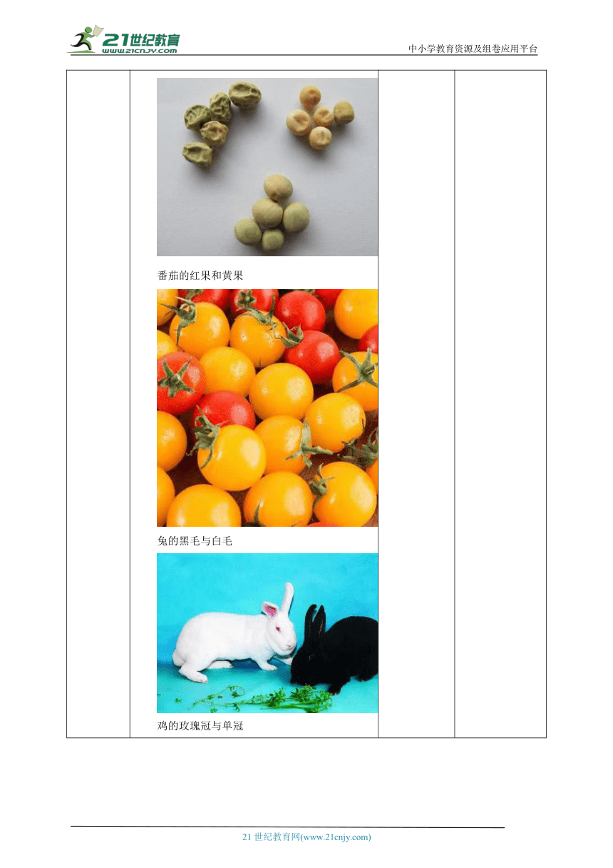 7.2.1基因控制生物的性状教学设计