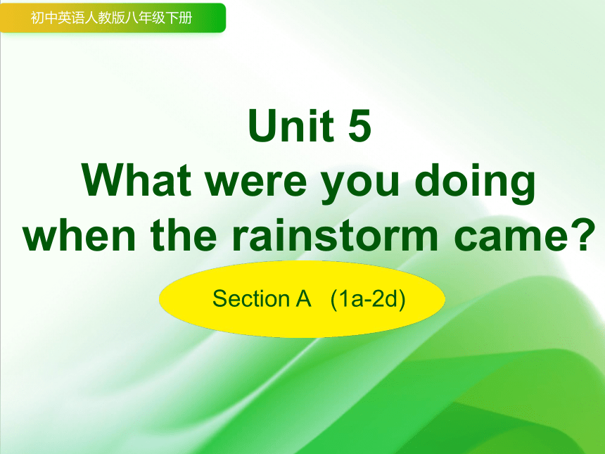 Unit 5 What were you doing when the rainstorm came?  Section A   课件(共38张PPT，无素材)-2023-2024学年人教版英语八年级