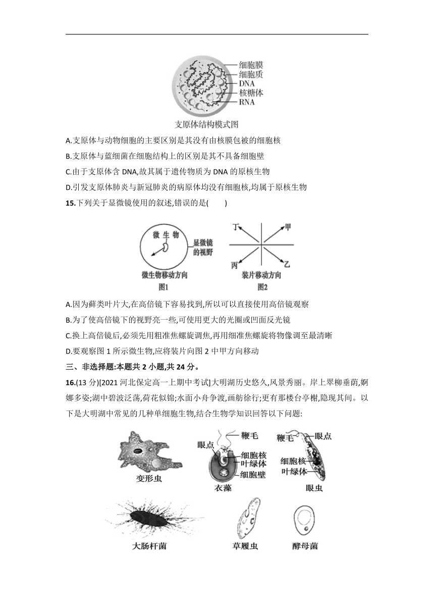 第1章 走近细胞单元测试卷2022-2023学年高一上学期生物人教版必修1（word含解析）