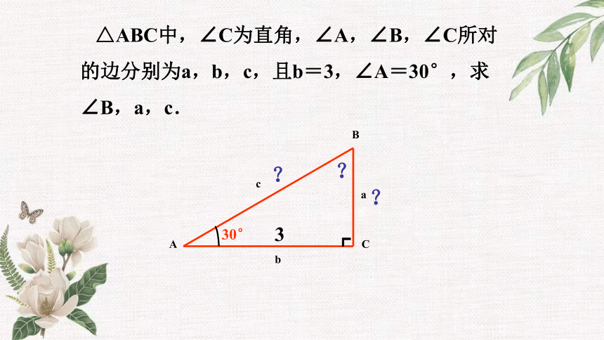 2.4 解直角三角形 课件（共16张PPT）