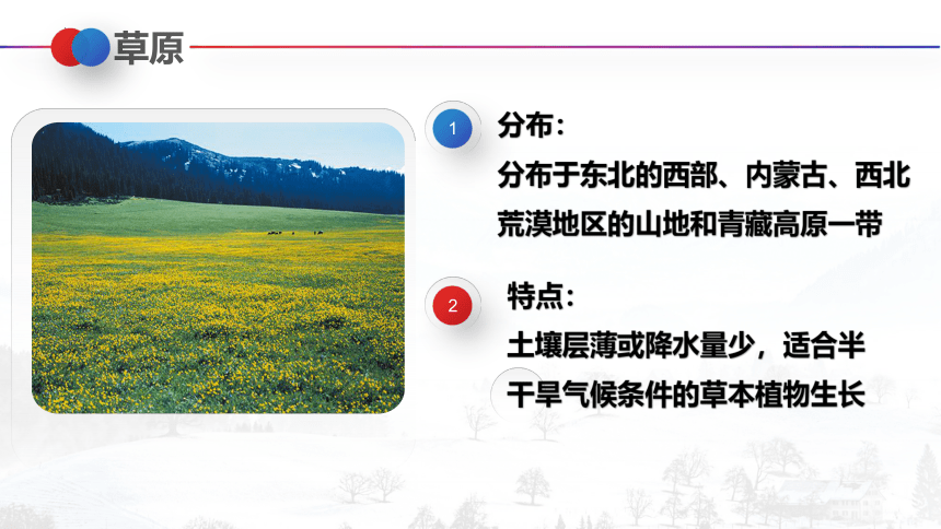 2022-2023学年人教版生物七年级上册 3.6 爱护植被  绿化祖国  课件 (共21张PPT)