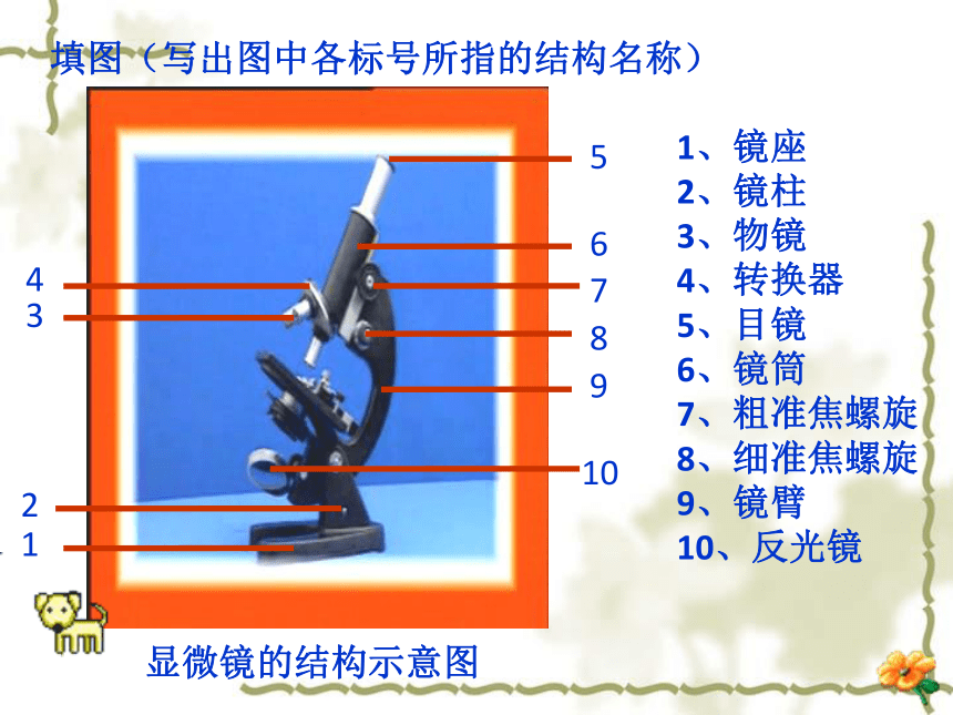 人教版七年级上册生物学2.1.1练习使用显微镜课件(共39张PPT)