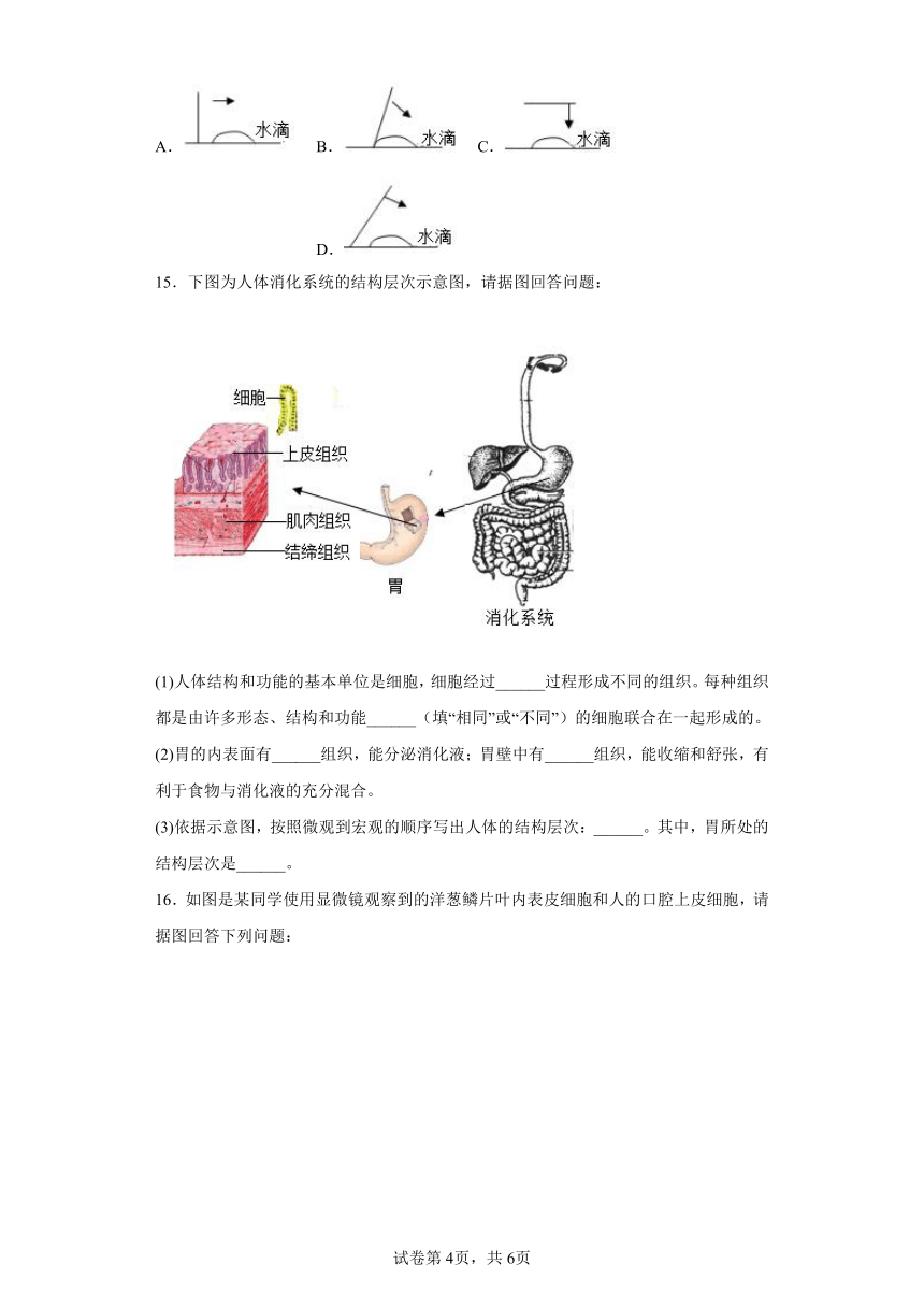 辽宁省沈阳市沈北新区2022-2023学年七年级上学期期中生物试题(含答案)