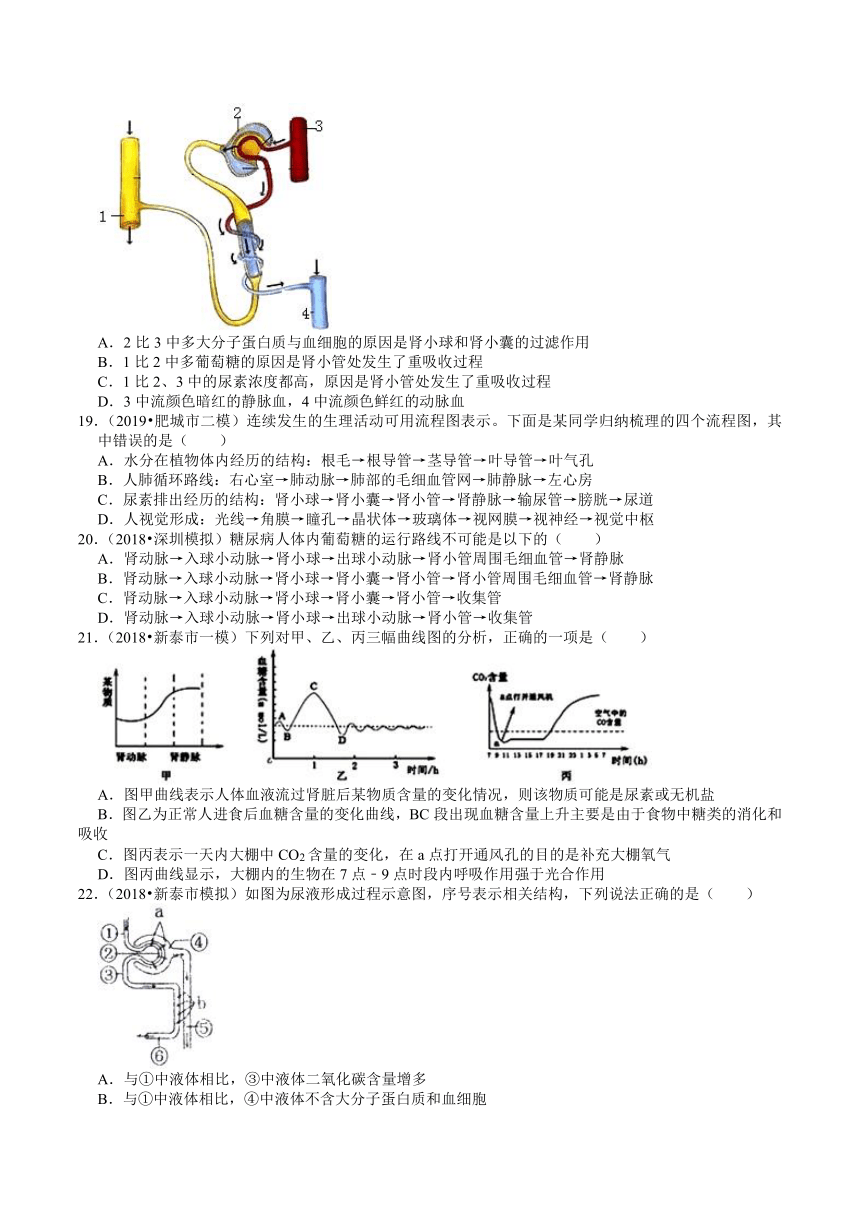 2018-2020年山东中考生物各地区模拟试题分类（泰安专版）（4）——人体的新陈代谢（word版含解析）