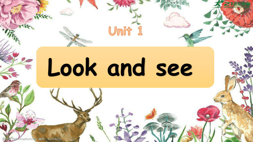 Module 1 Unit 1 Look and see 第二课时课件(共26张PPT)