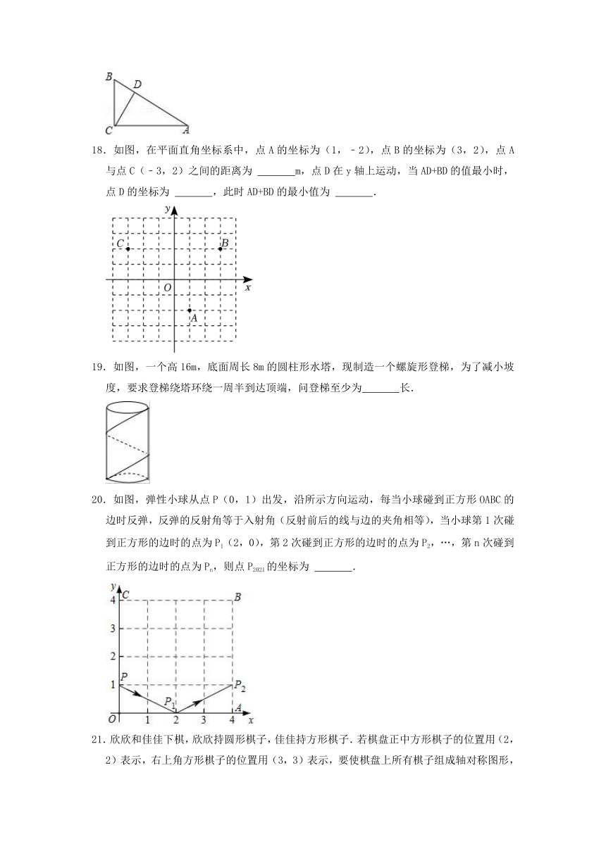 2022-2023学年人教版（五四制）八年级数学上册 第20章 轴对称 单元测试卷(含答案)