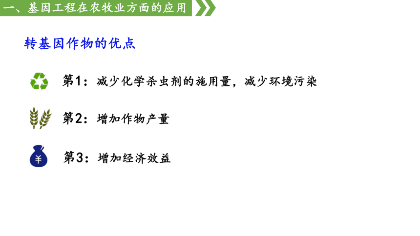 3.3 基因工程的应用课件(共66张PPT2份视频)-人教版（2019）选择性必修3