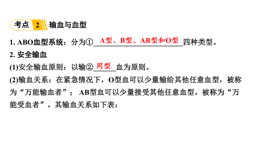 4.4 血液、血管、输血和血型复习课件(共26张PPT)