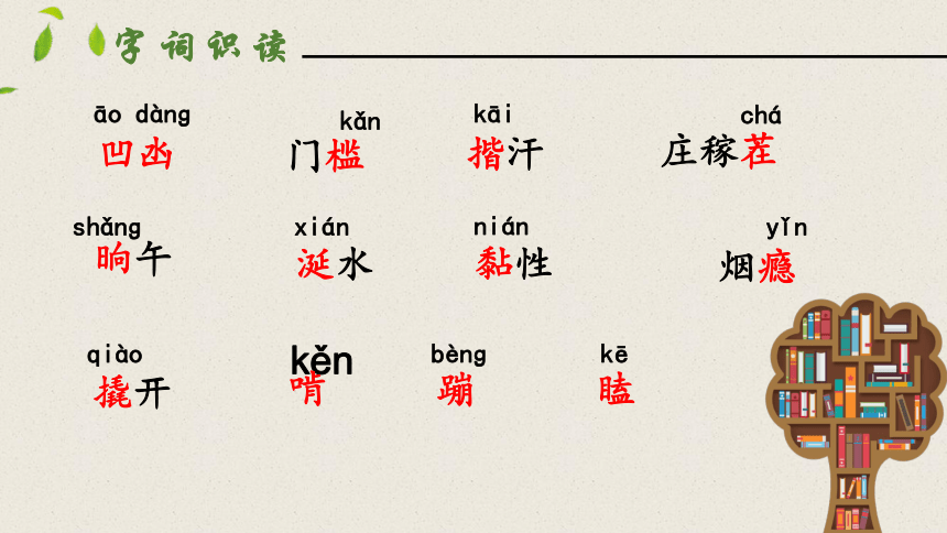 12台阶 第一课时 课件