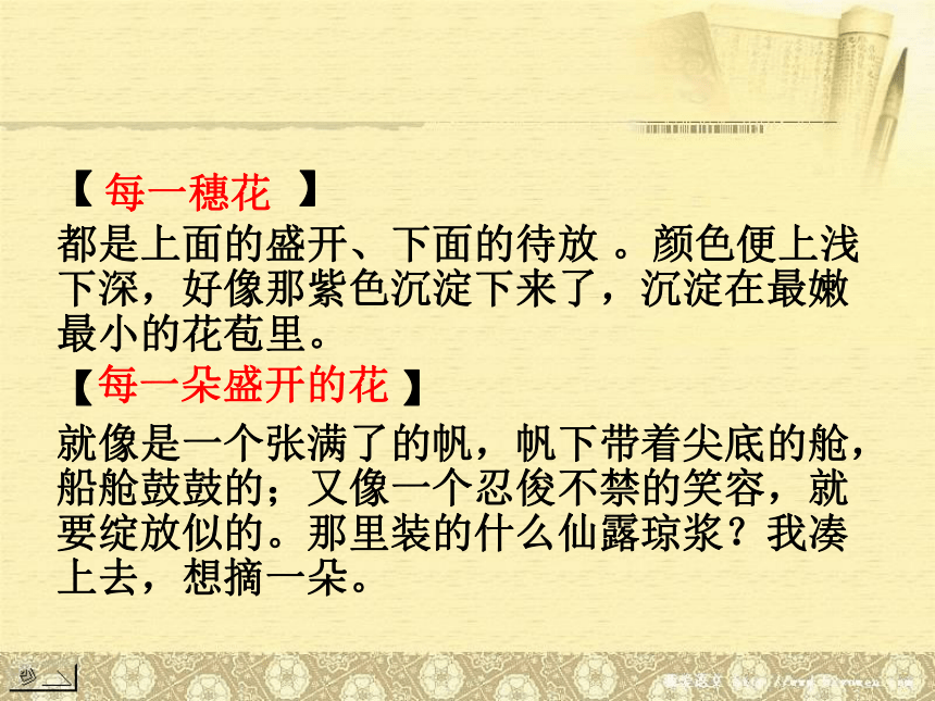 中考作文指导之一枝一叶总关情课件（共19张PPT）