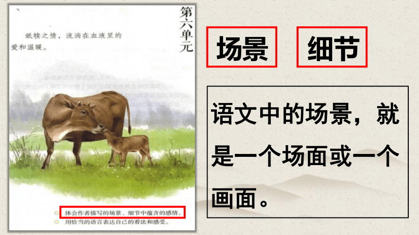 小学语文