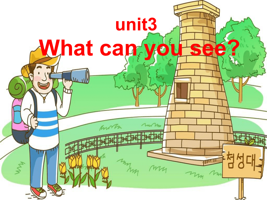 Unit 3 What can you see课件（24张PPT）