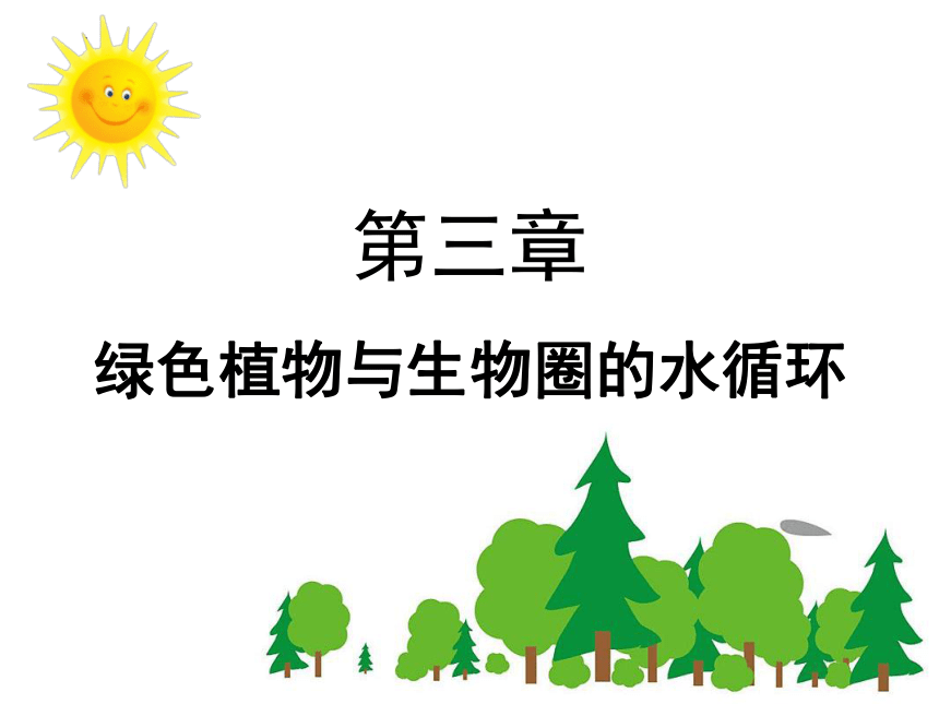 3.3 绿色植物与生物圈的水循环课件共37张PPT) 2022-2023学年人教版生物七年级上册