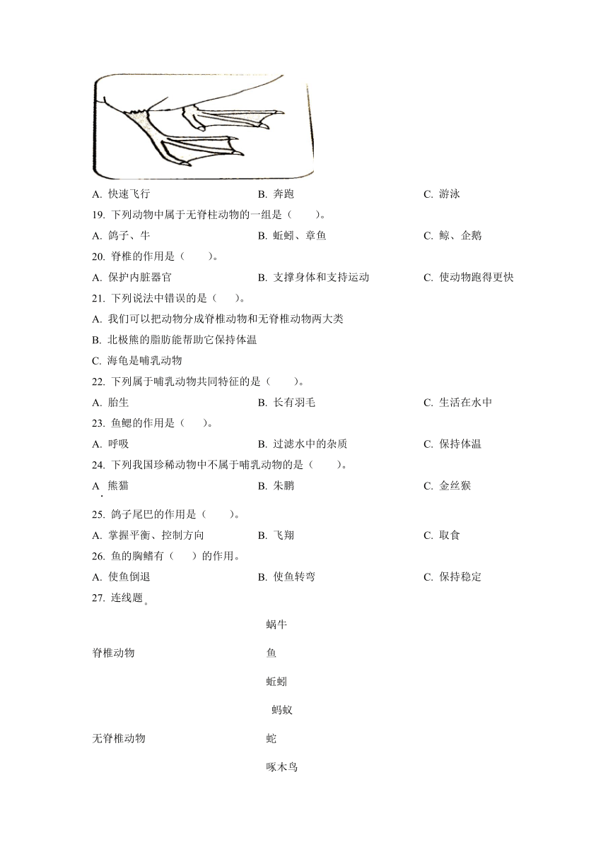 苏教版四年级上册科学期末测试卷14（含答案）