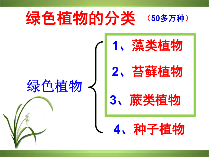 3.1.1藻类、苔藓和蕨类植物课件（共45张PPT）