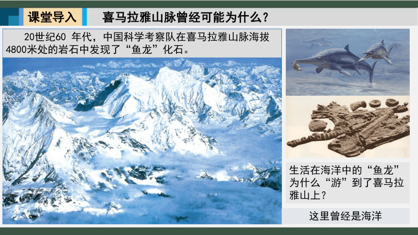 3.2海陆变迁 课件 2022-2023学年商务星球版地理七年级上册(共25张PPT)