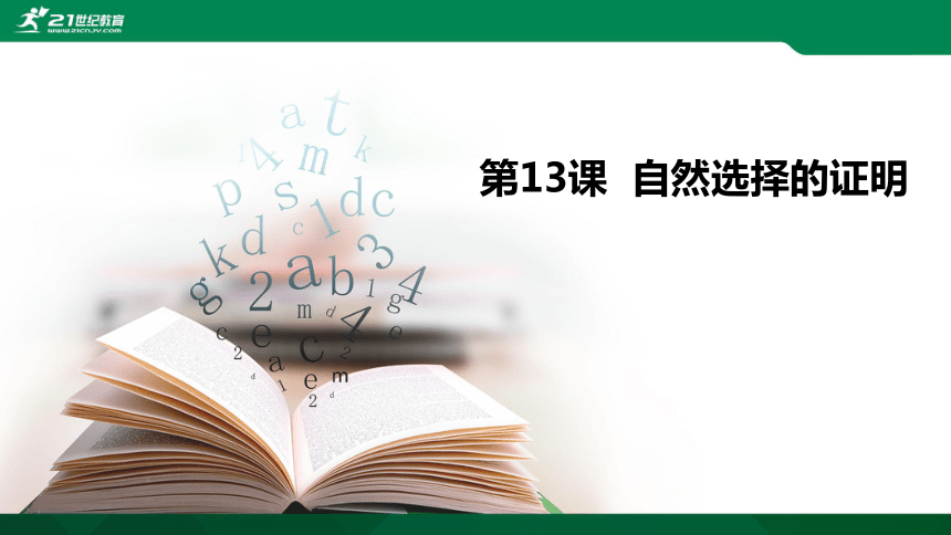 13.1 自然选择的证明 课件