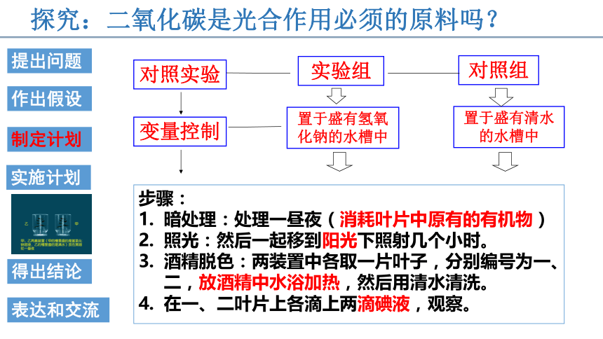 2022-2023学年人教版七年级生物上册 3.5.1光合作用吸收二氧化碳释放氧气 课件   (共20张PPT)