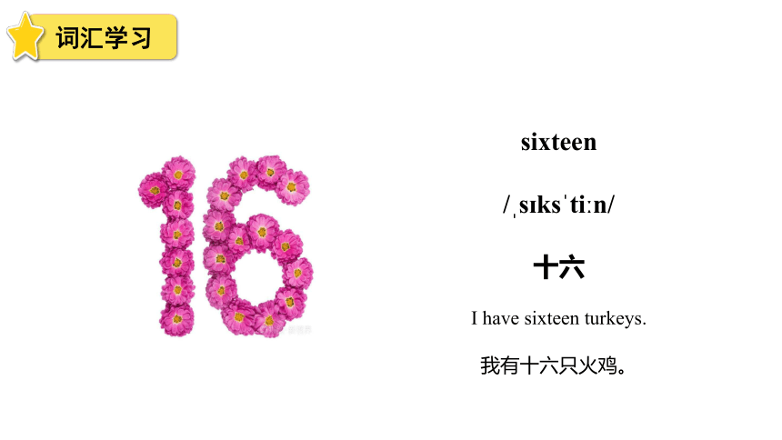 Unit 6 How many? Part B let's talk课件（32张PPT）