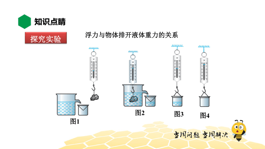 物理八年级-10.3【知识精讲】阿基米德原理（11张PPT）