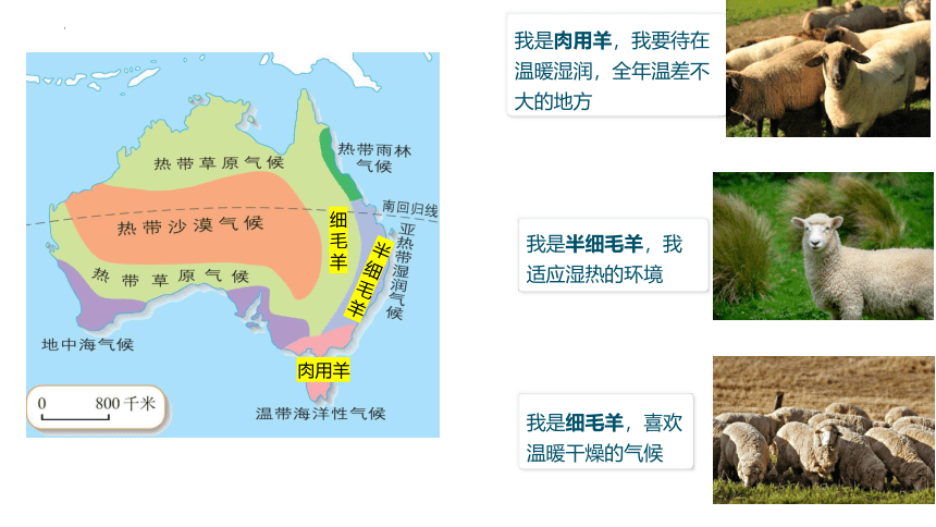 第八章第四节澳大利亚第2课时课件(共31张PPT)2022-2023学年人教版地理七年级下册