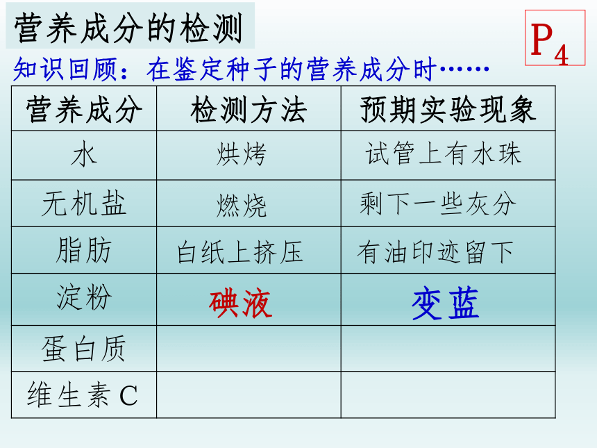 8-1人类的食物课件(共23张PPT)2021--2022学年北师大版生物七年级下册