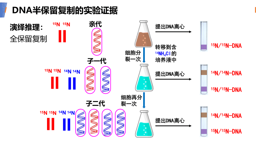 第三章第三节 DNA复制(共27张PPT1个视频)