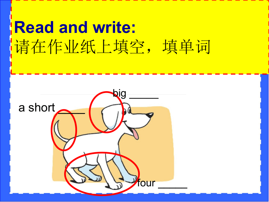 Unit 3 Our animal friends（Story time）课件（50张PPT）