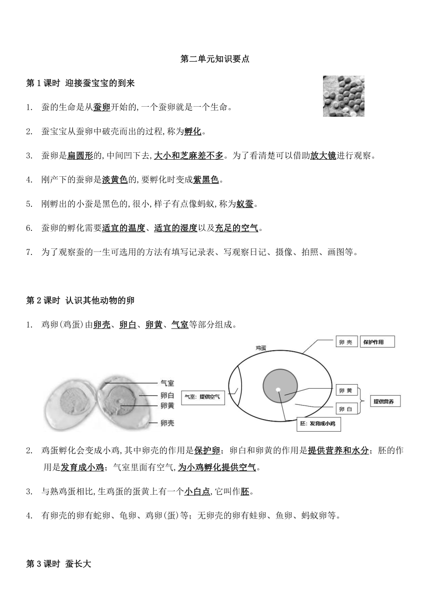 教科版（2017秋）三年级下册科学全册知识点复习