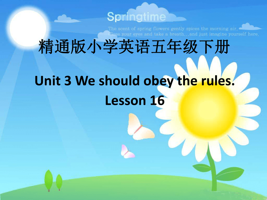Unit3 We should obey the rules.(Lesson16) 课件（共16张）