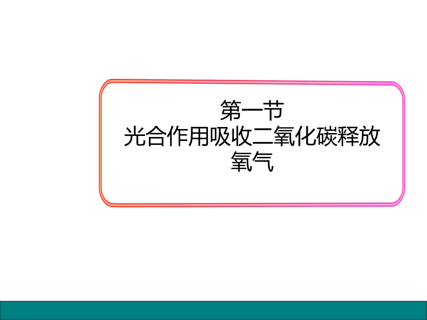 初中生物人教版七上：第3单元 第5章 第1节 光合作用吸收二氧化碳释放氧气 课件（共19张PPT）