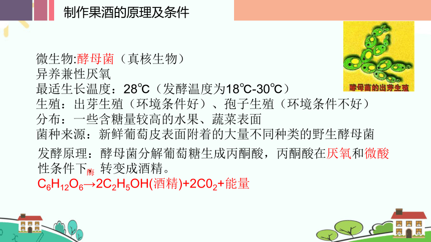 1.1传统发酵技术的应用（第1课时）课件（23张ppt）高二生物下学期（人教版2019选择性必修3）