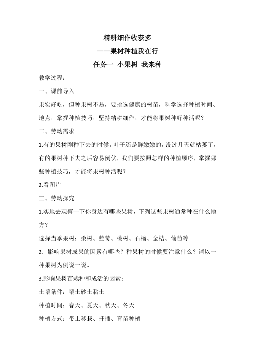 浙教版劳动五年级下册 项目二 任务一 小果树  我来种 教案